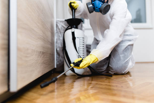 Best Best Pest Control Companies  in Tidmore Bend, AL