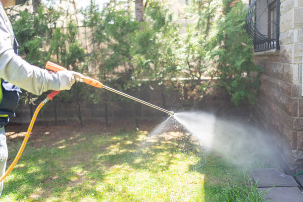 Best Insect Control  in Tidmore Bend, AL