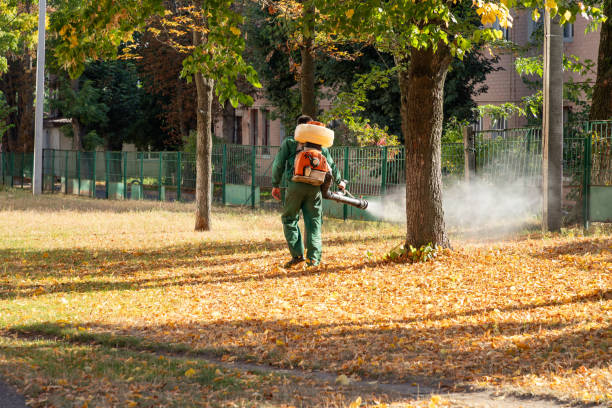 Best Pest Inspection Near Me  in Tidmore Bend, AL